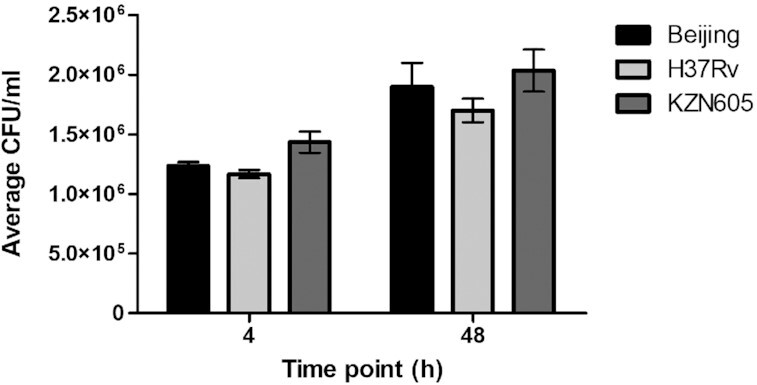 Clinical strains of Mycobacterium tuberculosis exhibit differential lipid metabolism-associated transcriptome changes in in vitro cholesterol and infection models.