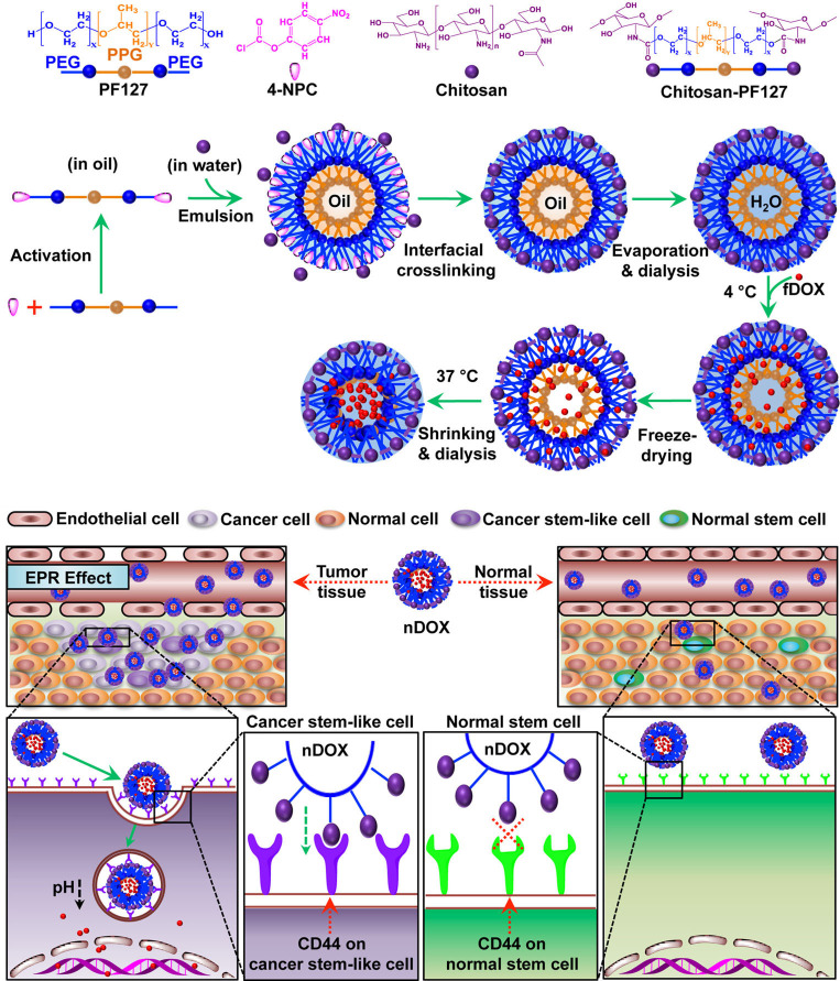 Nanomedicine strategies to counteract cancer stemness and chemoresistance.