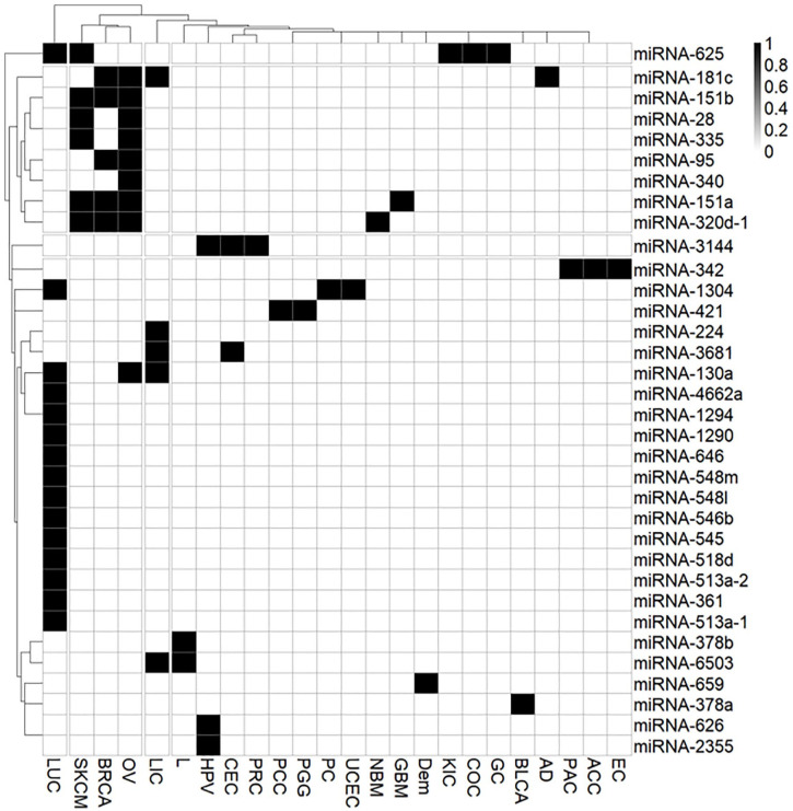 Transposable Elements-Derived MicroRNA Expression Patterns in TCGA Dataset for 10 Species.