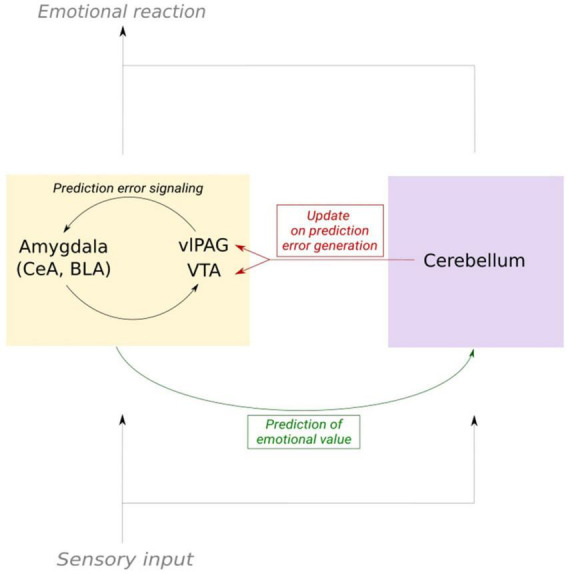 Cerebellar control of fear learning via the cerebellar nuclei-Multiple pathways, multiple mechanisms?