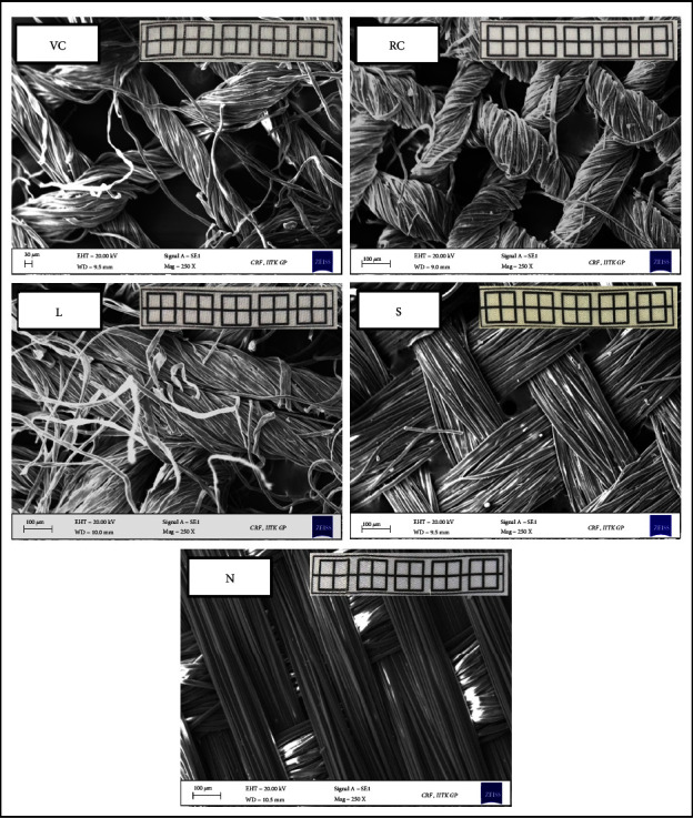 Commercially Available Textiles as a Scaffolding Platform for Large-Scale Cell Culture.