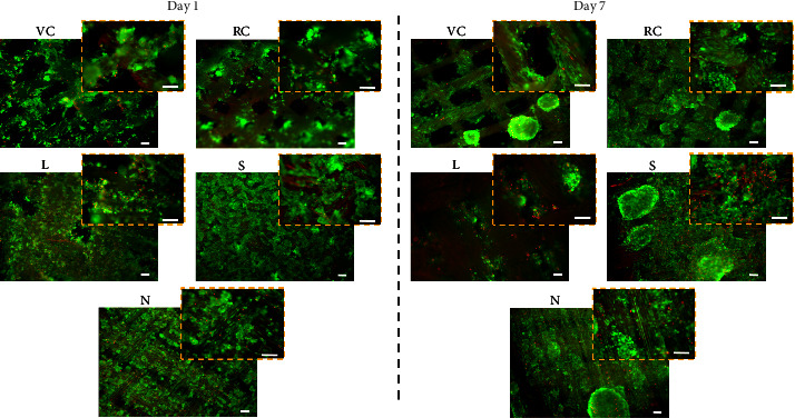 Commercially Available Textiles as a Scaffolding Platform for Large-Scale Cell Culture.