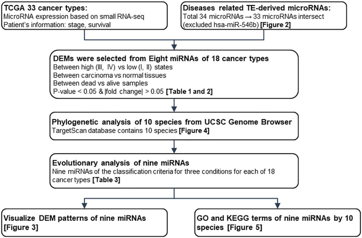 Transposable Elements-Derived MicroRNA Expression Patterns in TCGA Dataset for 10 Species.