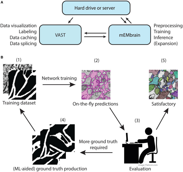 mEMbrain: an interactive deep learning MATLAB tool for connectomic segmentation on commodity desktops.