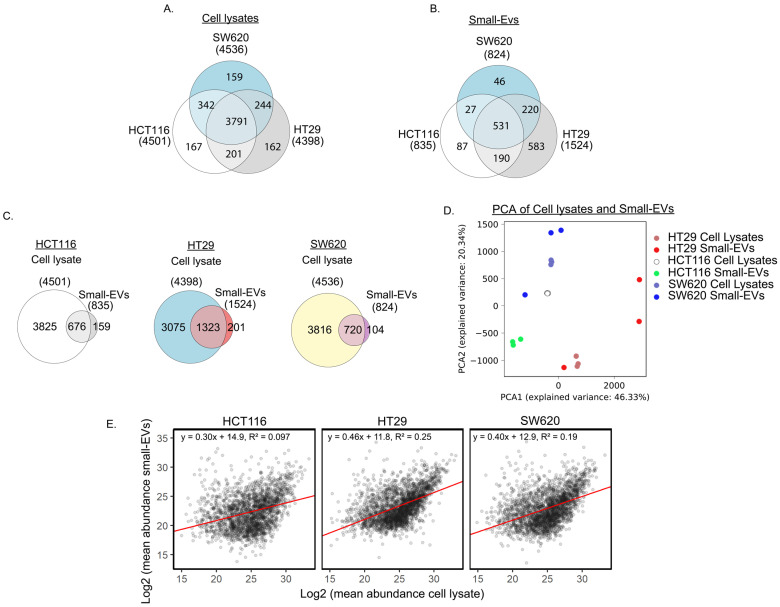 Characterisation of Colorectal Cancer Cell Lines through Proteomic Profiling of Their Extracellular Vesicles.