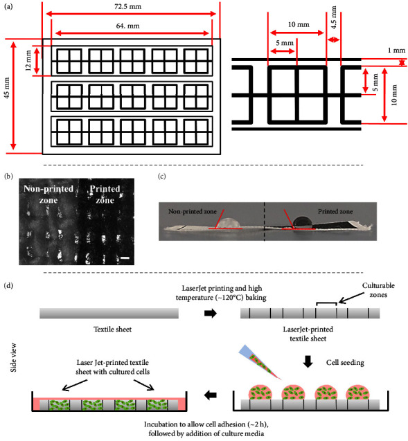 Commercially Available Textiles as a Scaffolding Platform for Large-Scale Cell Culture.