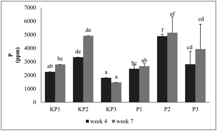 The use of cellulolytic <i>Aspergillus</i> sp. inoculum to improve the quality of Pineapple compost.