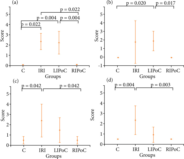 Effects of local and remote ischemic postconditioning methods on ischemiareperfusion injury in a young animal model of acute mesenteric ischemia.