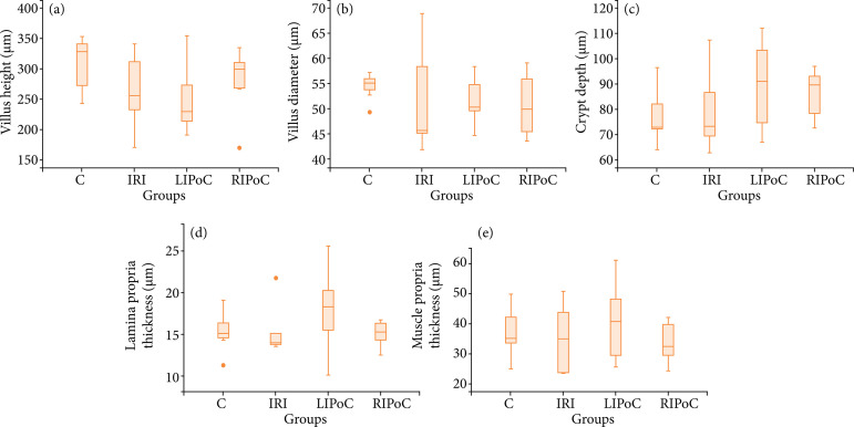 Effects of local and remote ischemic postconditioning methods on ischemiareperfusion injury in a young animal model of acute mesenteric ischemia.