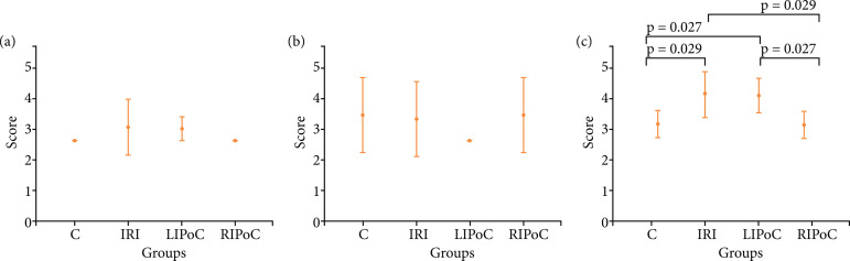 Effects of local and remote ischemic postconditioning methods on ischemiareperfusion injury in a young animal model of acute mesenteric ischemia.