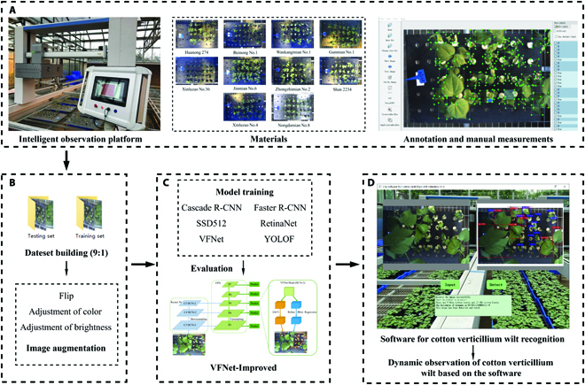 A Novel Intelligent System for Dynamic Observation of Cotton Verticillium Wilt.