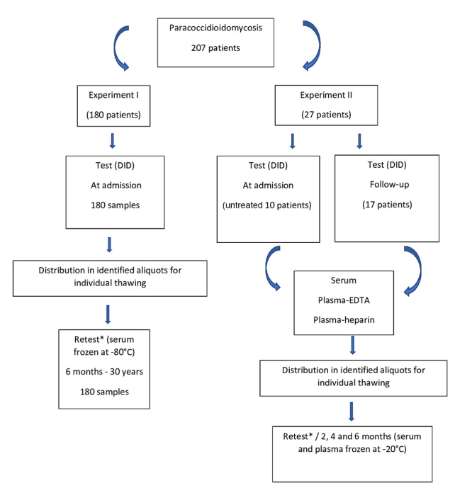 Reproducibility of double agar gel immunodiffusion test using stored serum and plasma from paracoccidioidomycosis patients.