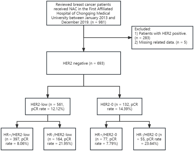 Comparison of the pCR Rate and DFS Among Breast Cancer Patients with Different Hormone Receptor and HER2 Statuses.