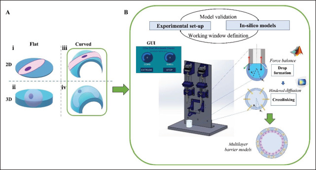 An integrated <i>in silico</i>-<i>in vitro</i> approach for bioprinting core-shell bioarchitectures.