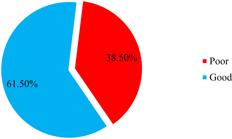 Caregivers' Satisfaction of Teleconsultations and Associated Factors During COVID-19 Pandemic at Pediatric Clinics of Tikur Anbessa Specialized Hospital, Addis Ababa, Ethiopia: A Cross-Sectional Study.