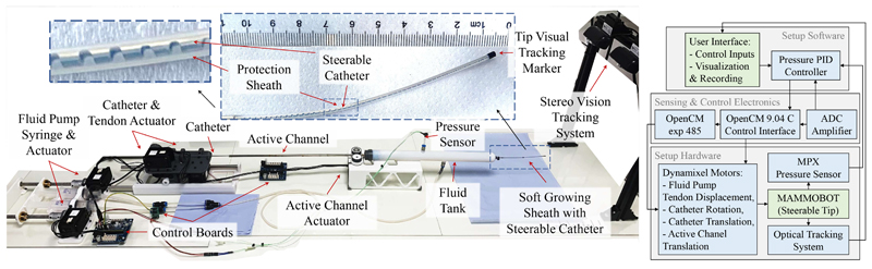 Towards a Physics-Based Model for Steerable Eversion Growing Robots