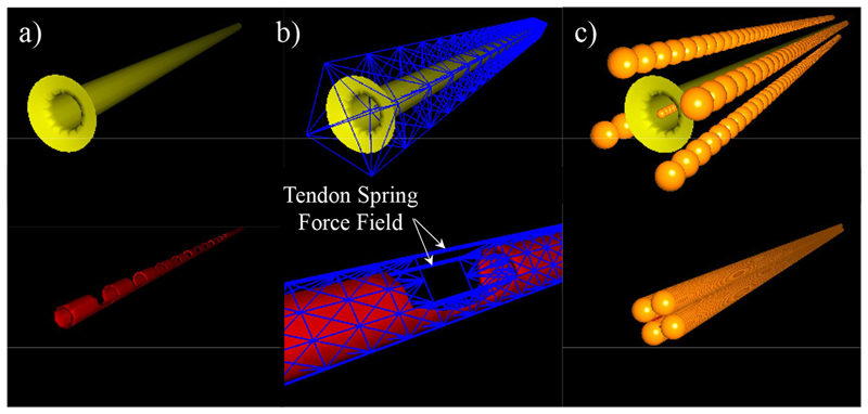 Towards a Physics-Based Model for Steerable Eversion Growing Robots