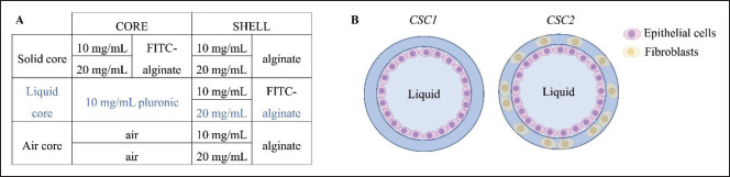 An integrated <i>in silico</i>-<i>in vitro</i> approach for bioprinting core-shell bioarchitectures.