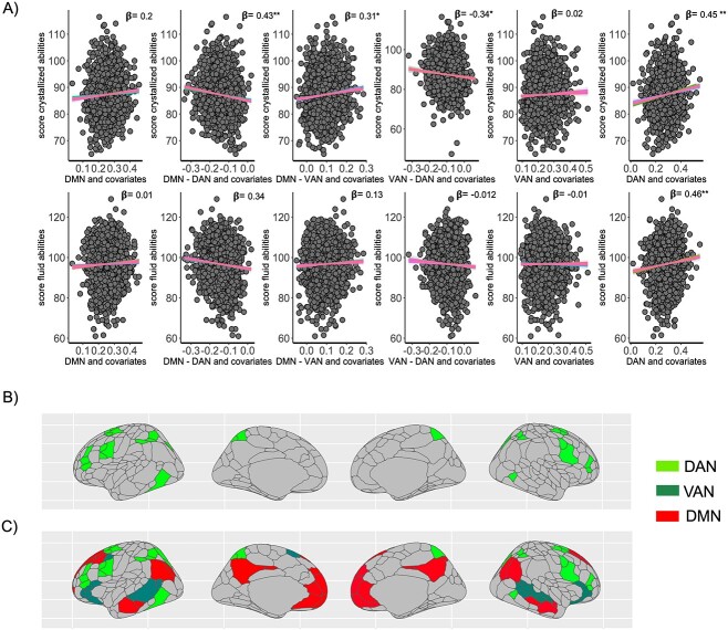 Different patterns of intrinsic functional connectivity at the default mode and attentional networks predict crystalized and fluid abilities in childhood.