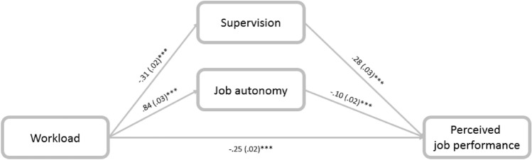 The Perceived Job Performance of Child Welfare Workers During the COVID-19 Pandemic.