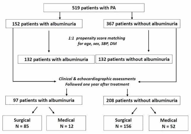 Anatomical and functional remodeling of left ventricle in patients with primary aldosteronism and concomitant albuminuria.