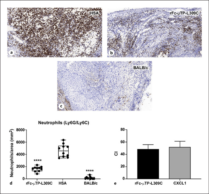 Modulation of Neutrophil Function by Recombinant Human IgG1 Fc Hexamer in the Endogenous K/BxN Mouse Model of Rheumatoid Arthritis.