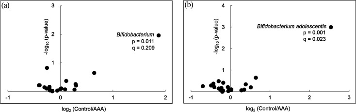 Impact of <i>Bifidobacterium adolescentis</i> in patients with abdominal aortic aneurysm: a cross-sectional study.