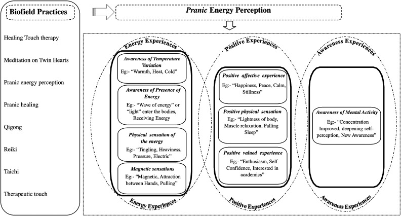 Perception of Subtle Energy "<i>Prana</i>", and Its Effects During Biofield Practices: A Qualitative Meta-Synthesis.