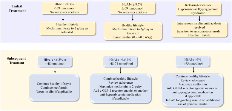 Treatment strategy for children and adolescents with type 2 diabetes-based on ISPAD Clinical Practice Consensus Guidelines 2022.