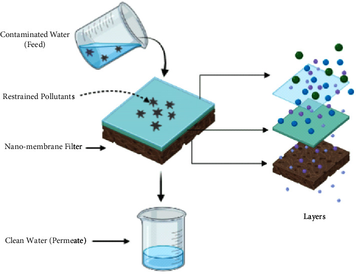 Bioinorganic Nanoparticles for the Remediation of Environmental Pollution: Critical Appraisal and Potential Avenues.