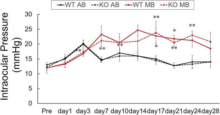 Effects of Elevated Intraocular Pressure on Retinal Ganglion Cell Density and Expression and Interaction of Retinal Aquaporin 9 and Monocarboxylate Transporters.