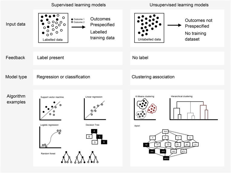 Machine learning and disease prediction in obstetrics