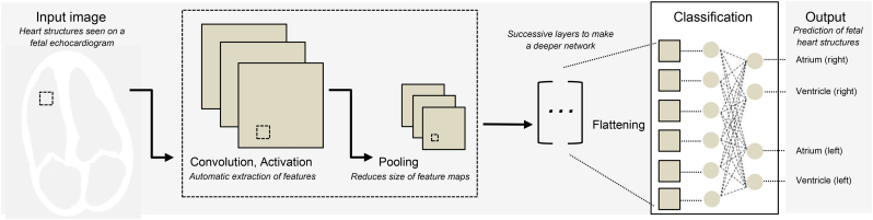 Machine learning and disease prediction in obstetrics