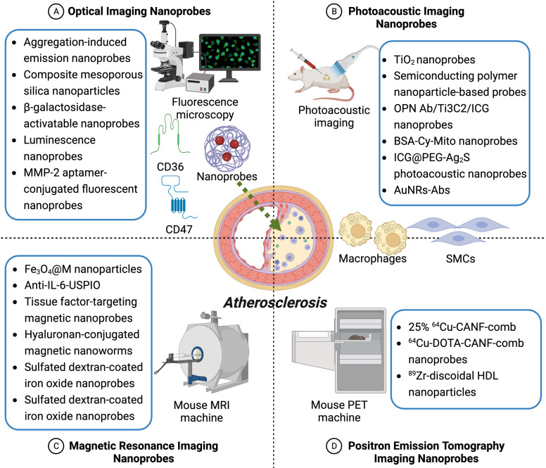 Engineering molecular nanoprobes to target early atherosclerosis: Precise diagnostic tools and promising therapeutic carriers.