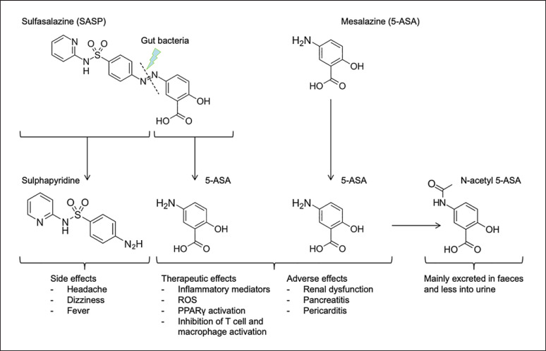 Significance of 5-Aminosalicylic Acid Intolerance in the Clinical Management of Ulcerative Colitis.