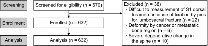 Measurement of S1 foramen depth for ultrasound-guided S1 transforaminal epidural injection.