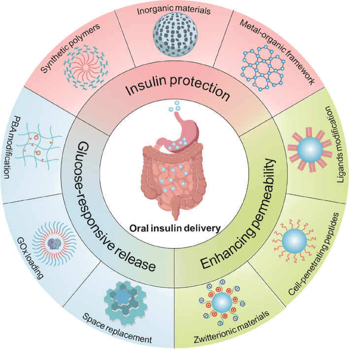 Material design for oral insulin delivery.