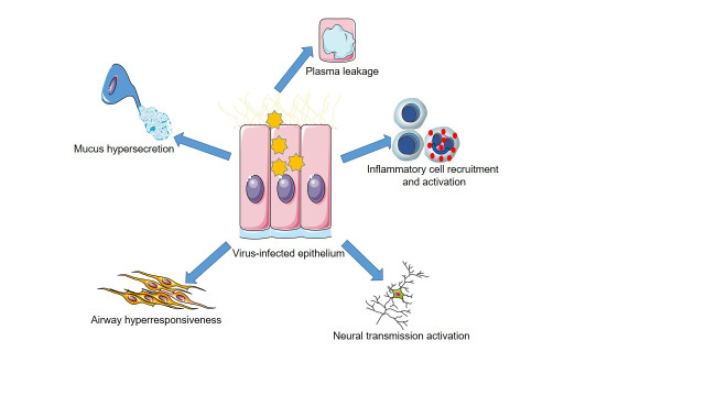 A Review Regarding the Connections between Allergic Rhinitis and Asthma - Epidemiology, Diagnosis and Treatment.