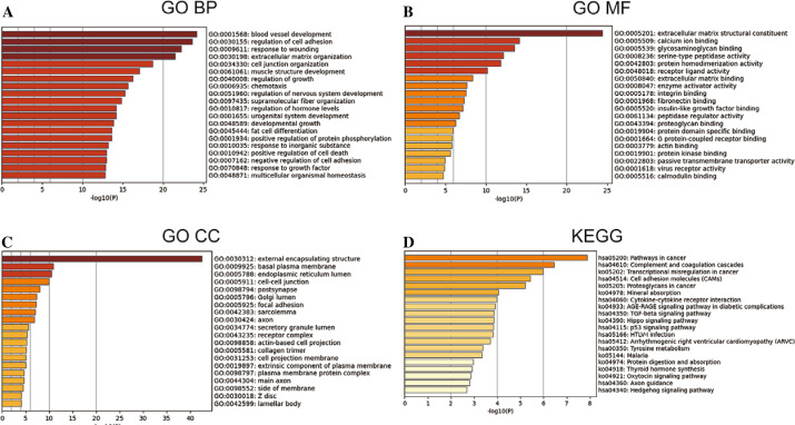 A biomarker and molecular mechanism investigation for thyroid cancer.