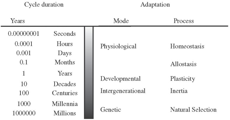 Integrating evolutionary, developmental and physiological mismatch.