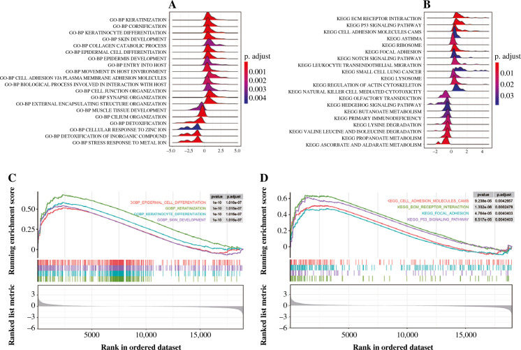 A biomarker and molecular mechanism investigation for thyroid cancer.