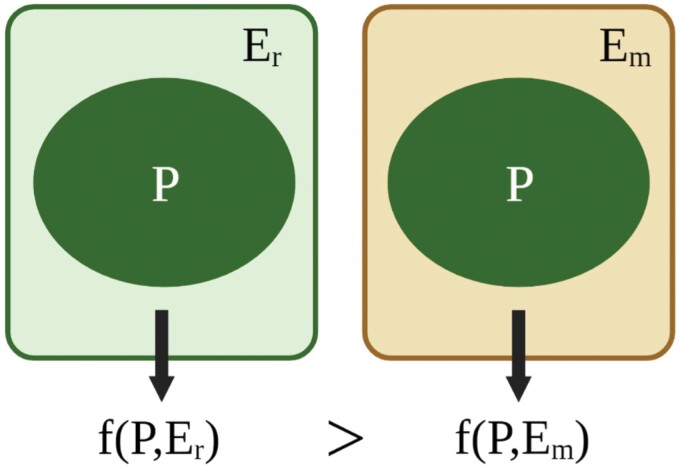 Integrating evolutionary, developmental and physiological mismatch.