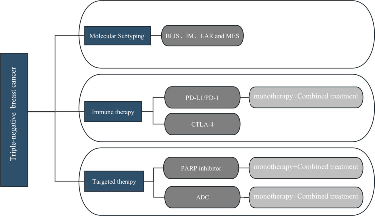 Research Progress on Molecular Subtyping and Modern Treatment of Triple-Negative Breast Cancer.