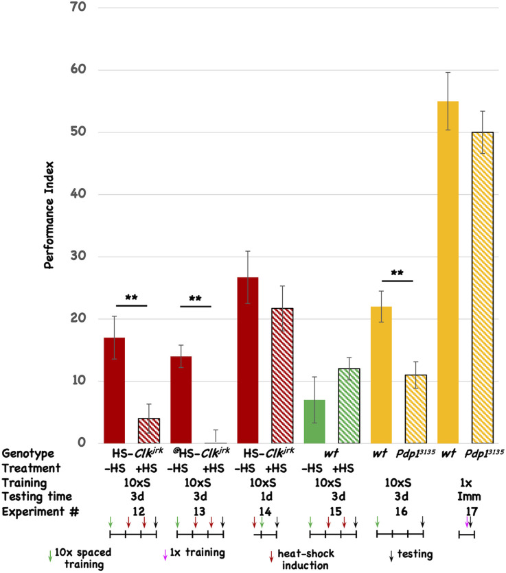 Circadian disruption of memory consolidation in <i>Drosophila</i>.