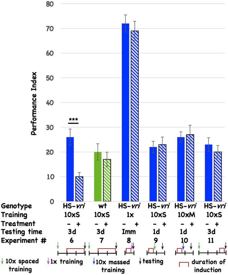 Circadian disruption of memory consolidation in <i>Drosophila</i>.