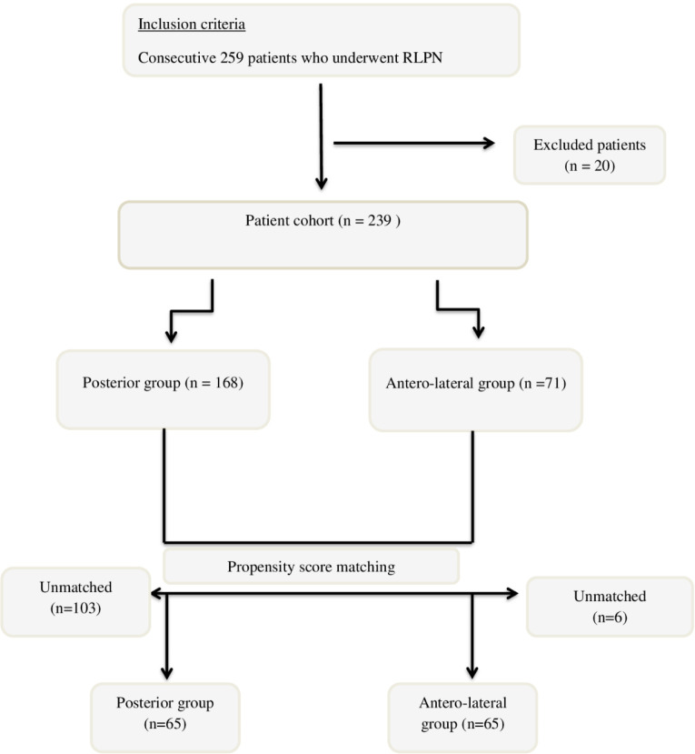 Comparison of Posterior and Antero-Lateral Renal Tumors in Retroperitoneal Laparoscopic Partial Nephrectomy: A Propensity Score Matching Analysis.