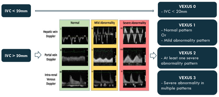 Evaluation Of Congestion Levels in Septic Patients Admitted to Critical Care Units with a Combined Venous Excess-Lung Ultrasound Score (VExLUS) - a Research Protocol.