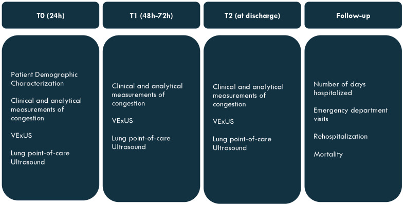 Evaluation Of Congestion Levels in Septic Patients Admitted to Critical Care Units with a Combined Venous Excess-Lung Ultrasound Score (VExLUS) - a Research Protocol.