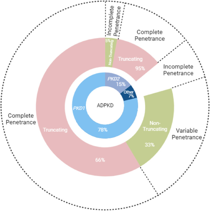 Many lessons still to learn about autosomal dominant polycystic kidney disease.