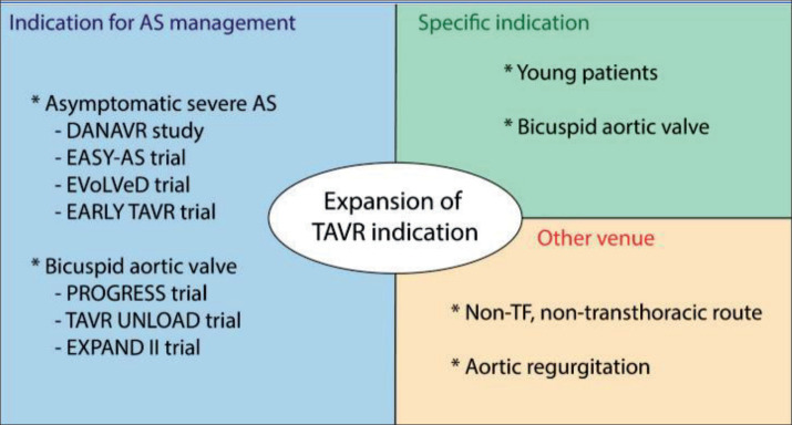 Transcatheter Aortic Valve Implantation Two Decades of Evolution - TAVI From Current Perspective.